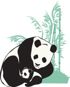 51-(panda)