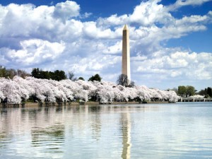 Washington_Monument,_Washington,_D.C._04037u_original