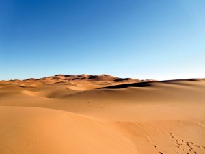 Sand-Dunes