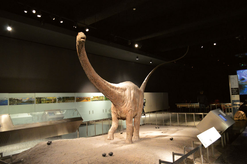 المتحف الأمريكي للتاريخ الطبيعي مجلة القافلة